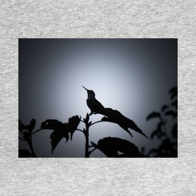 Hummingbird silhouette by PandLCreations